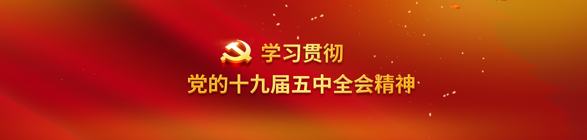 学习贯彻党的十九届五中全会精神