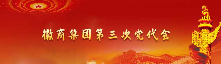 徽商集团第三次党代会