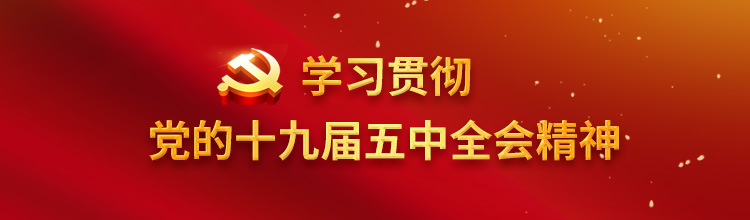 学习贯彻党的十九届五中全会精神