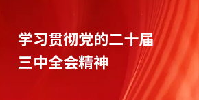 学习贯彻党的二十届三中全会精神
